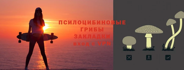 герыч Алексин