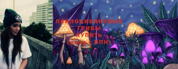 индика Абаза