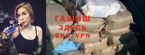 гашик Алексеевка